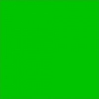 Chris James 139 Primary Green фолиевый фильтр первая зелень